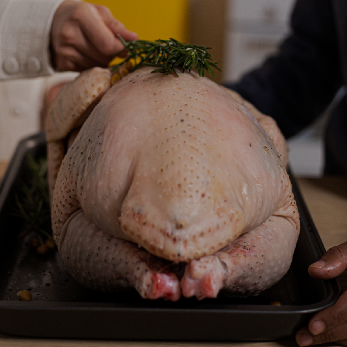 Carne de pato